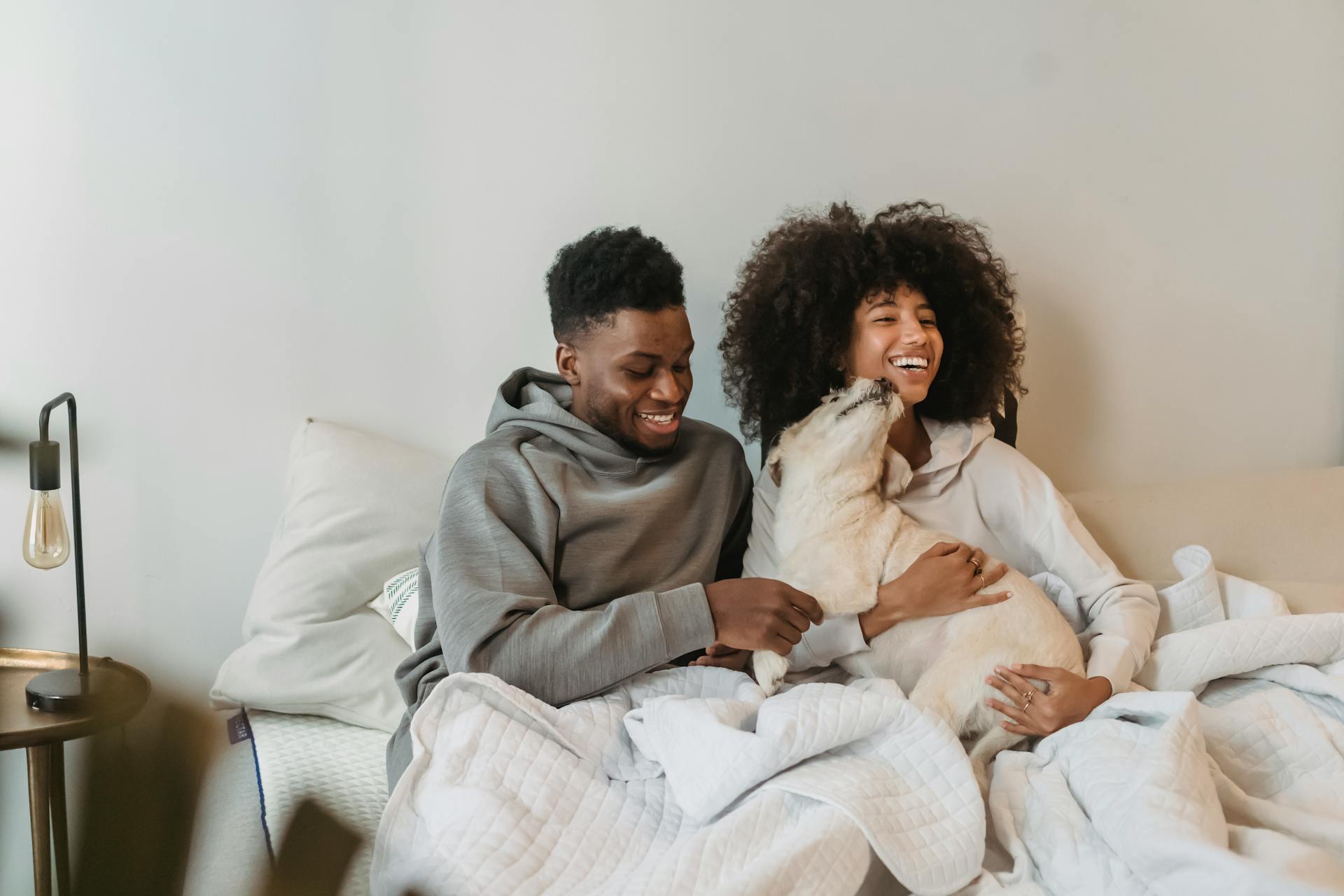 Happy young black woman with curly hair smiling and embracing curious loyal dog while resting on bed with positive boyfriend during weekend at home