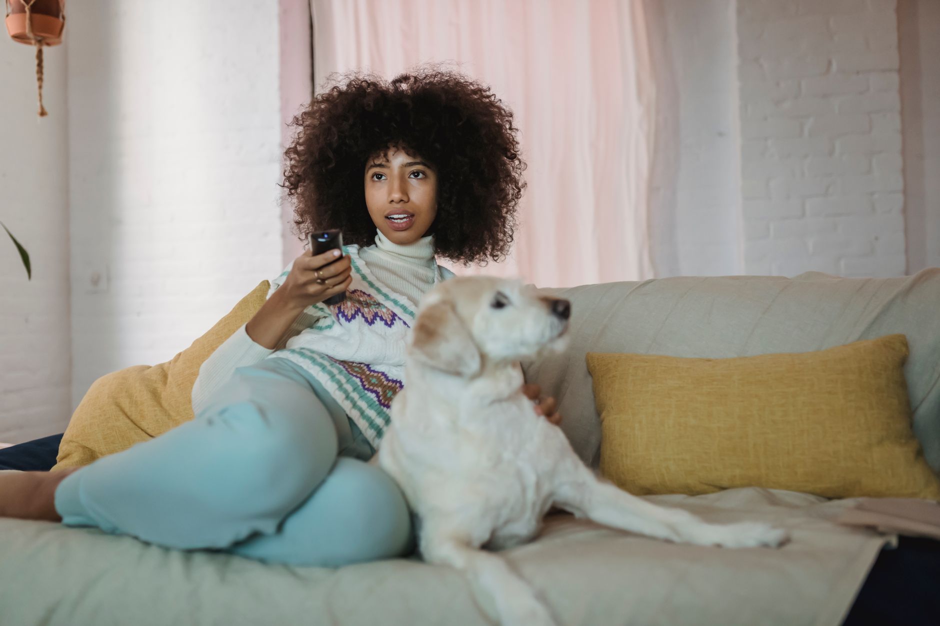 Concentrated young African American female owner with curly hair in casual clothes cuddling adorable dog while resting on sofa and watching TV