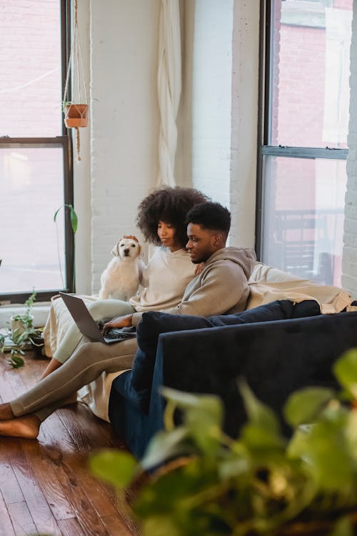 Free Side view of romantic young African American couple in comfy outfits watching interesting movie on laptop while resting on sofa and caressing cute dog Stock Photo