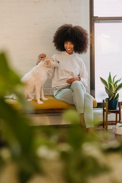 Joyful young African American lady with dark curly hair in casual clothes smiling and petting cute obedient dog while sitting on bench at home