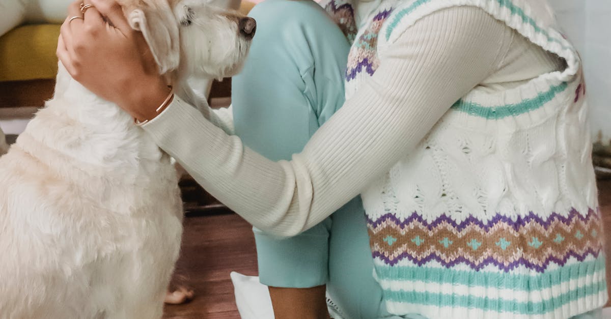 Gentle black woman petting dog near crop guitarist