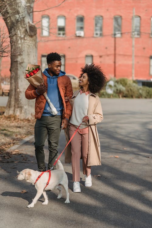 Loving black couple walking on sidewalk with dog