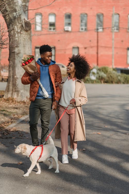 Free Loving black couple walking on sidewalk with dog Stock Photo