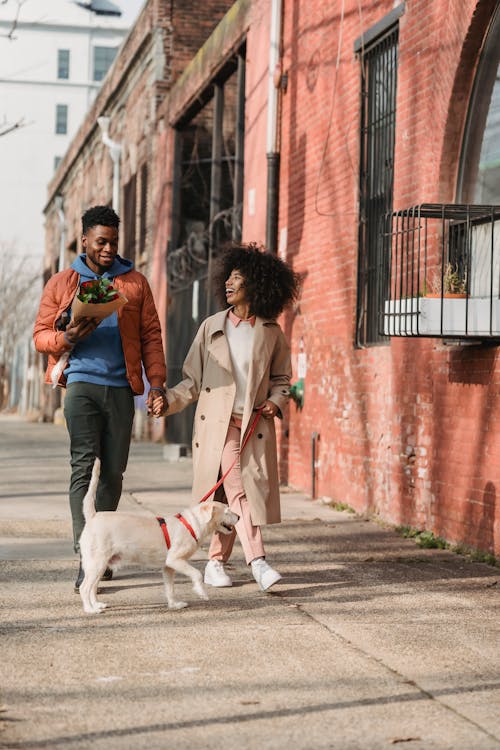 Free Full body of positive African American couple strolling on paved walkway with dog on leash on sunny street during date Stock Photo
