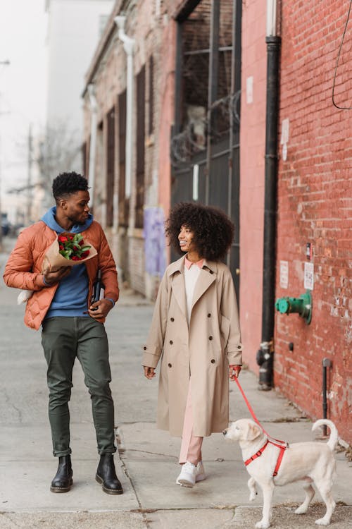 Free Cheerful black couple with dog on sidewalk Stock Photo