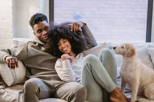 Free Cheerful African American couple in casual clothes cuddling on sofa near adorable dog while spending time together in living room Stock Photo