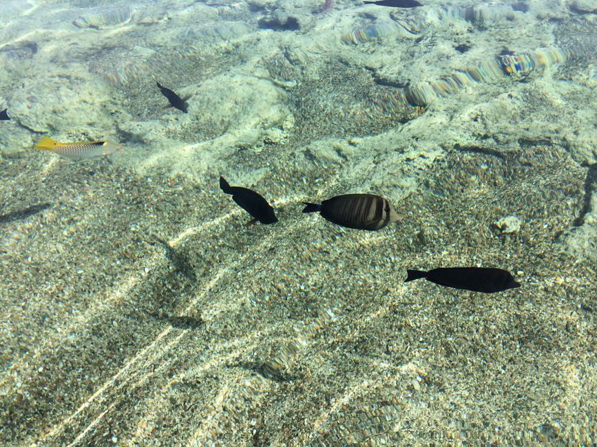 Foto de Marsa Alam