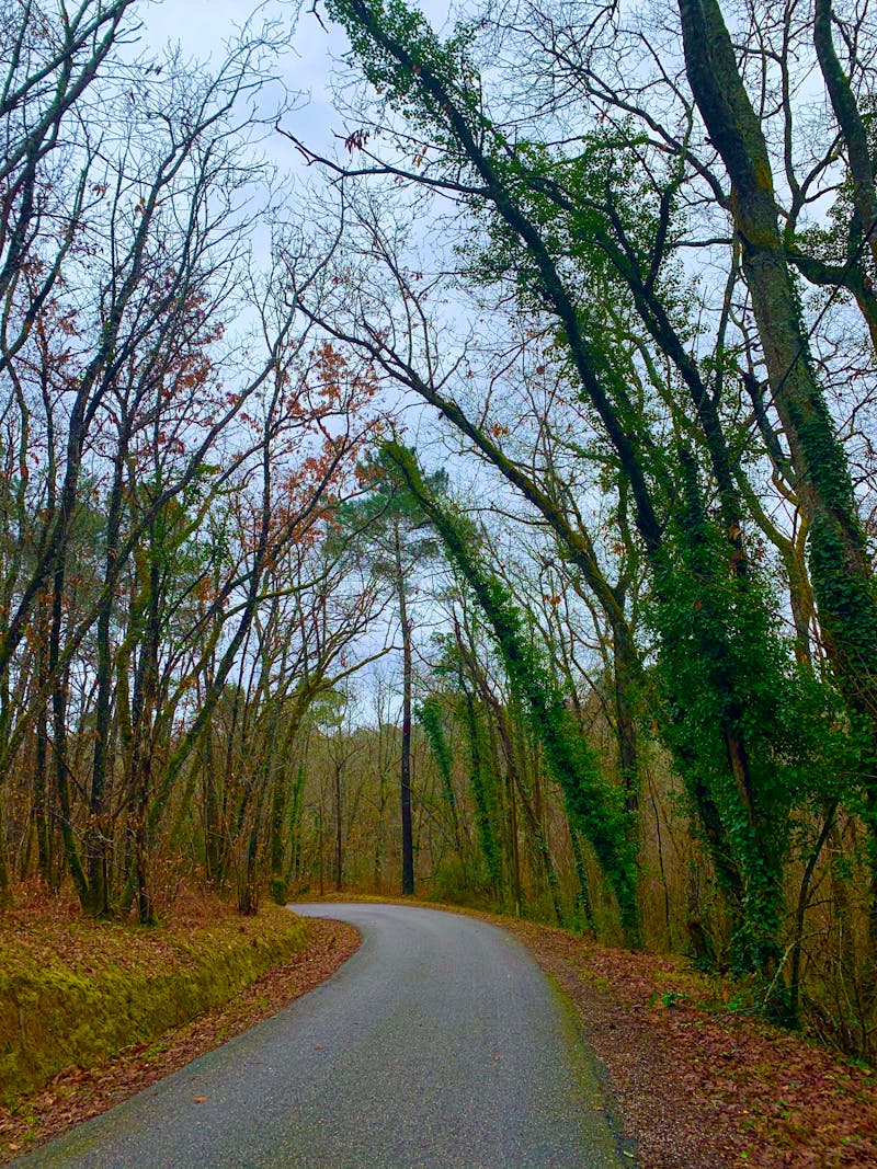 Tirai Motif Klasik Gold