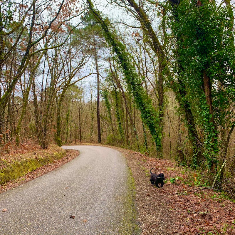 Tirai Blackout Premium