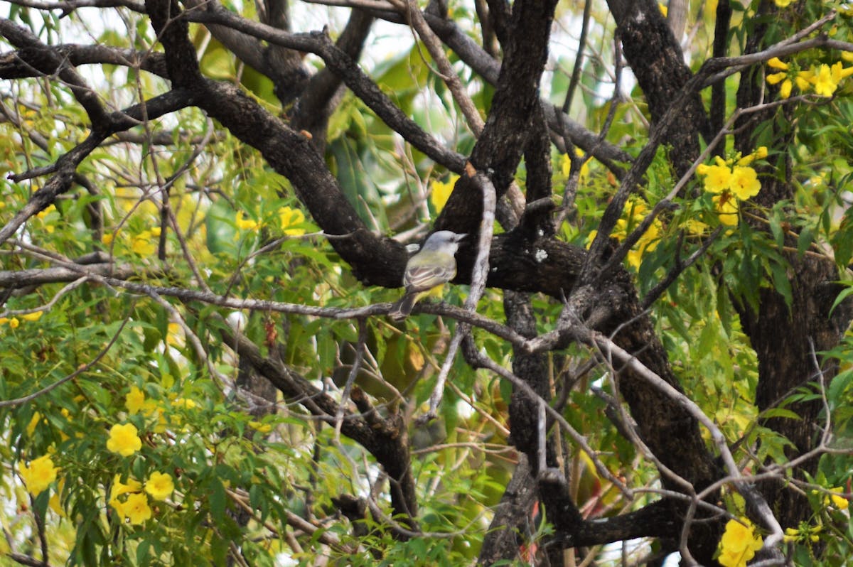 Bedroom with warm ambient lighting from bedside lamps and accent lights