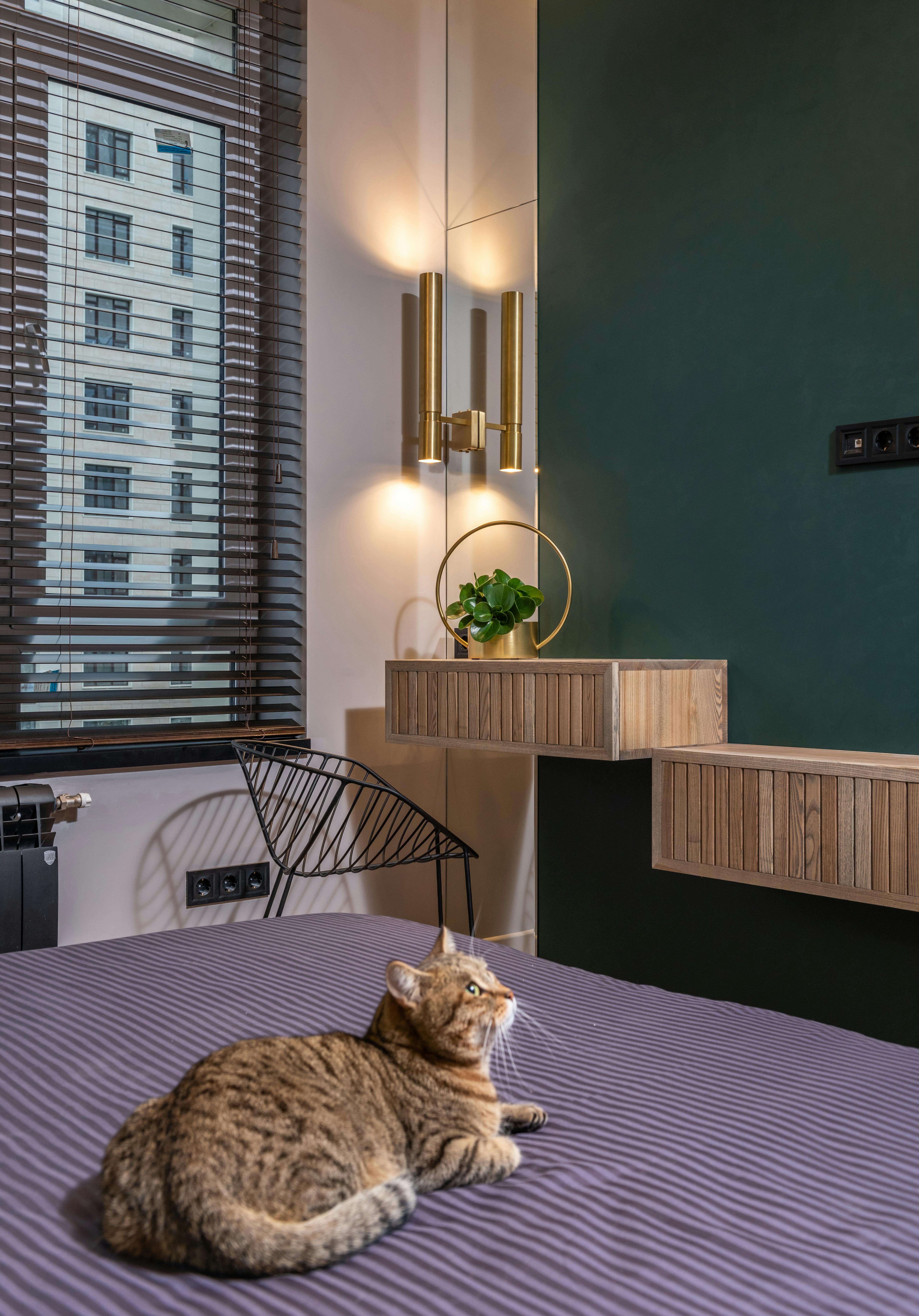 Windows 11 Anime Photos, Download The BEST Free Windows 11 Anime Stock