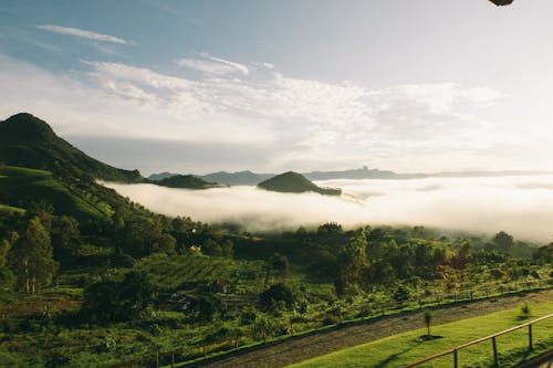 Picturesque view of mounts with lush green trees in mist under shiny sky in countryside