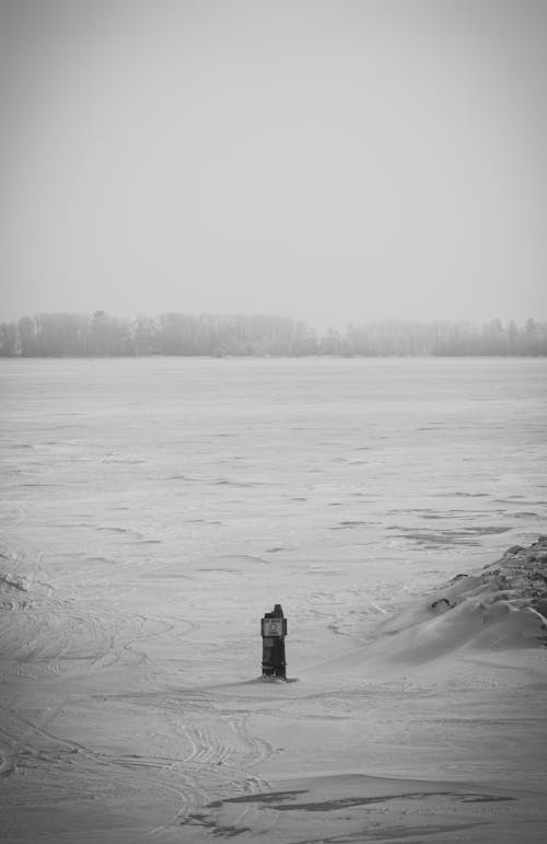감기, 검정색과 흰색, 겨울의 무료 스톡 사진