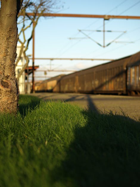 Free stock photo of greengrass, rusted, train