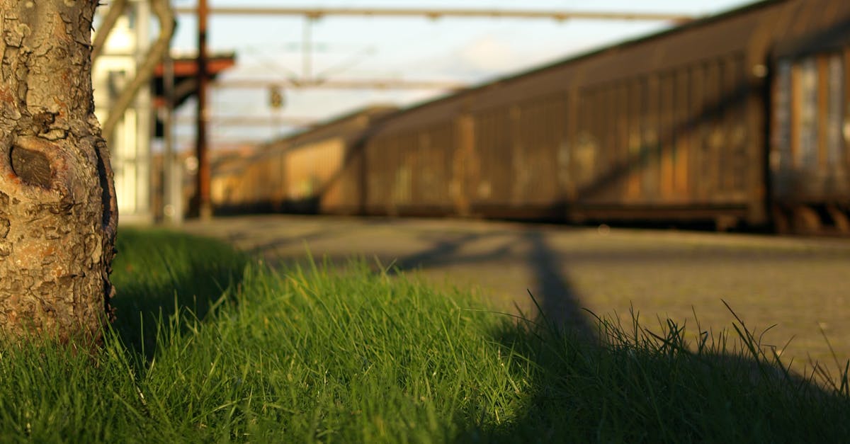 Free stock photo of greengrass, rusted, train