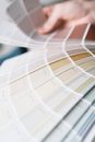 A Spread of Paint Color Swatches