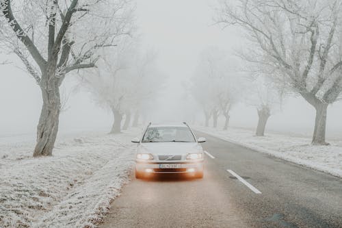 Základová fotografie zdarma na téma auto, frnt, mlha
