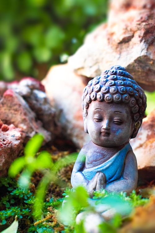 Free Close-up of a Buddha sculpture surrounded by nature in Jaipur, India. Stock Photo