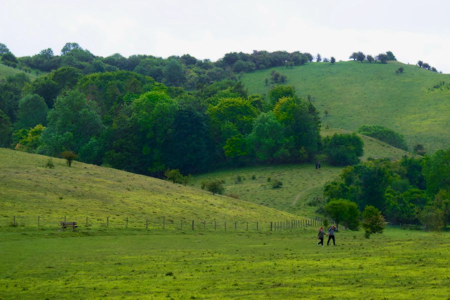 A tranquil scene of a couple walking through a lush green countryside in England.