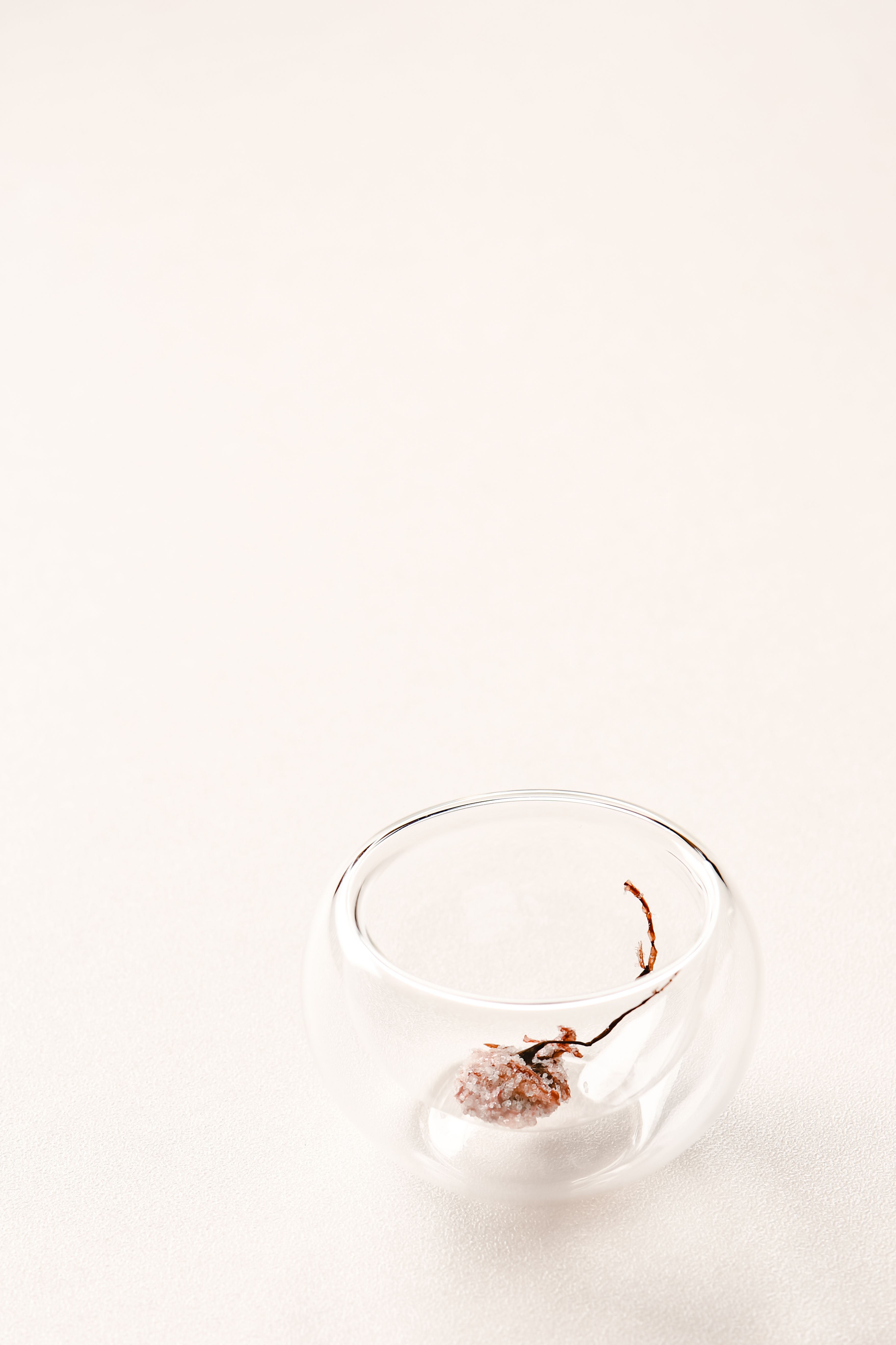 A simple and elegant glass container with a single dried flower on a white background.