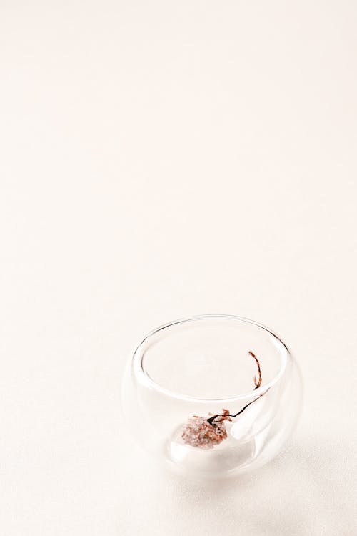 Dried Flower in Glass Container