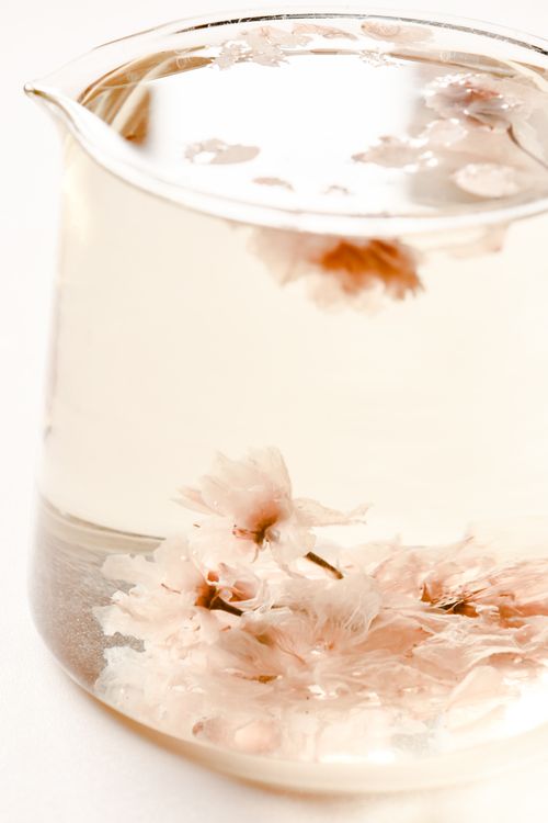 Free Dreamy close-up of sakura blossoms floating in crystal-clear water, showcasing tranquility. Stock Photo