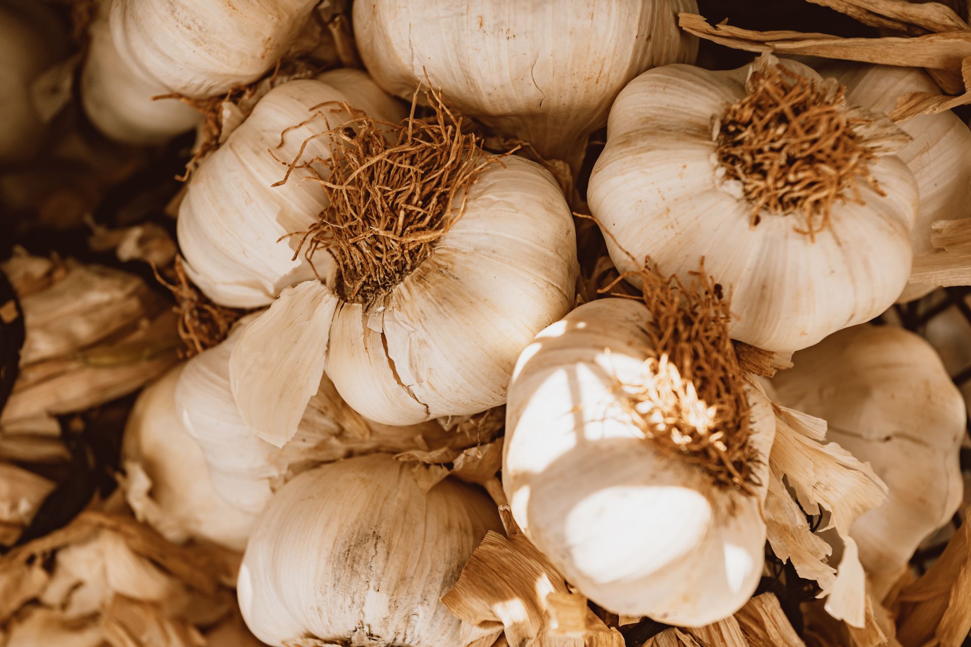 A detailed close-up of fresh garlic bulbs showcasing their texture and layers, ideal for healthy cooking concepts.