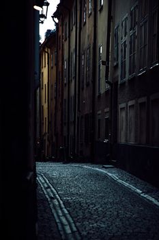 A mysterious and moody cobblestone alley with tall buildings, invoking an old-world charm.