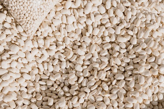High-angle view of scattered white beans, ideal for cooking and healthy eating.