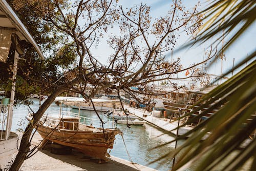 Fotos de stock gratuitas de atracado, barcos, costa