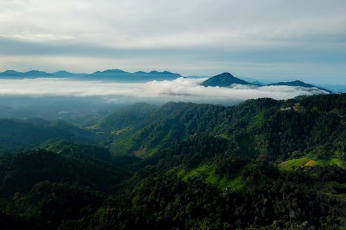 An Aerial Shot of a Mountain Range Covered in Trees