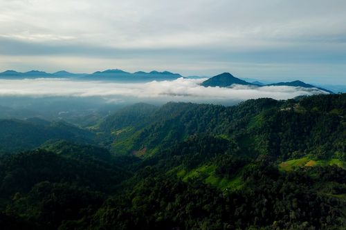 Free A captivating aerial view of the misty and green mountain landscapes of Genting Highlands, Malaysia. Stock Photo