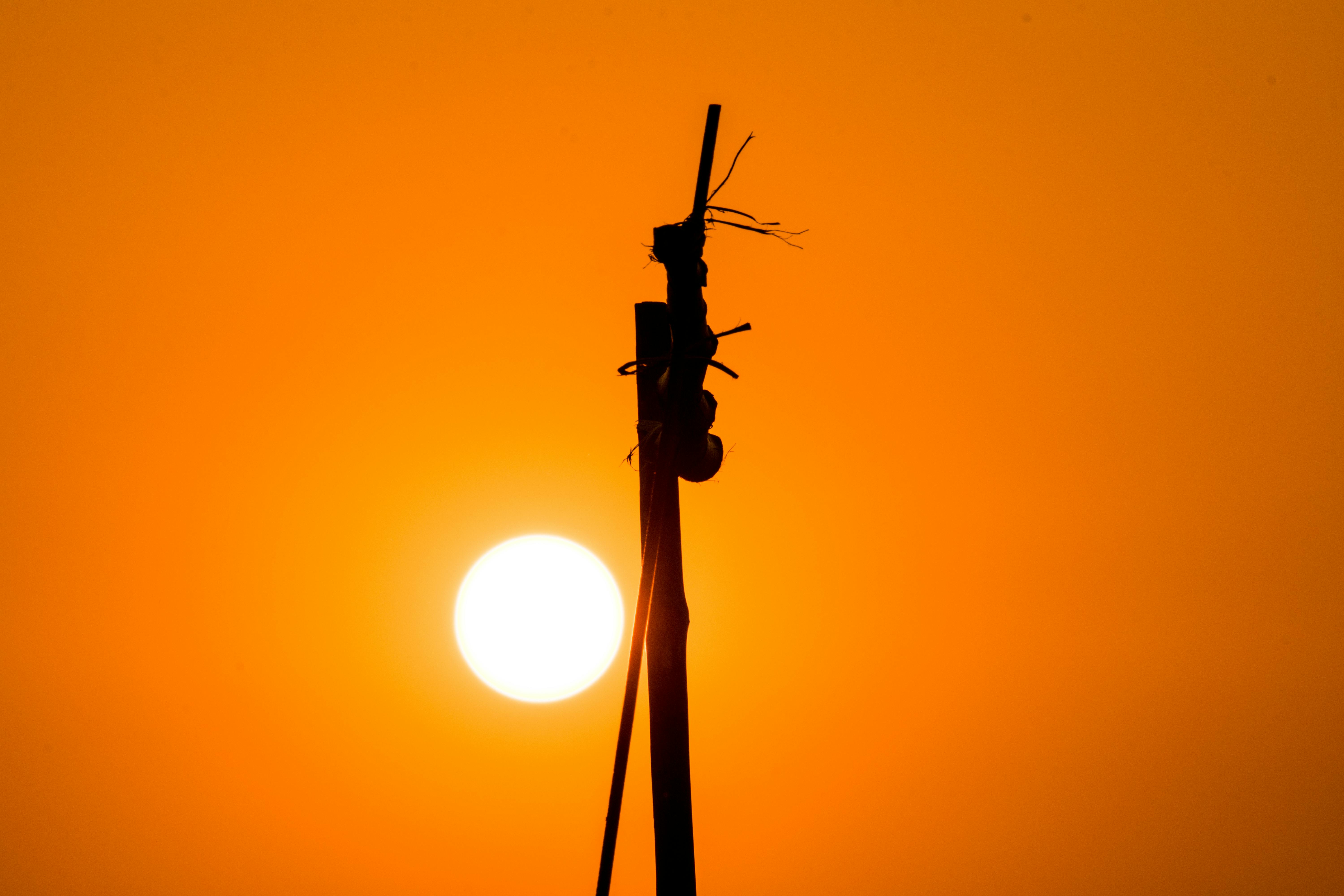 Espaço Comercial Elegante