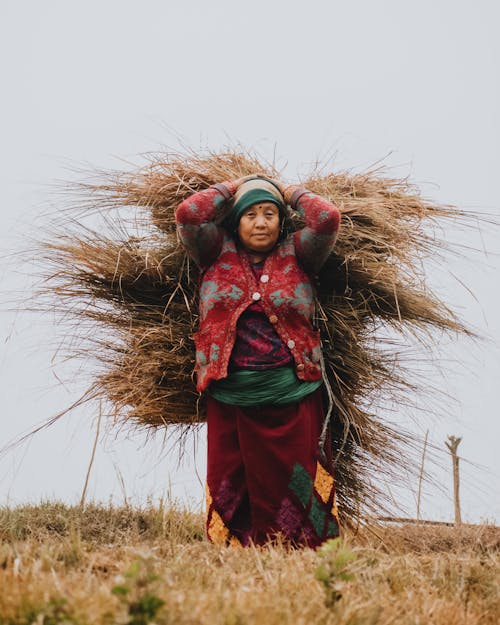 Foto d'estoc gratuïta de agrícola, agricultor, agricultura