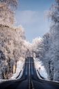 Empty asphalt roadway between fences and snowy trees under cloudy sky in winter season