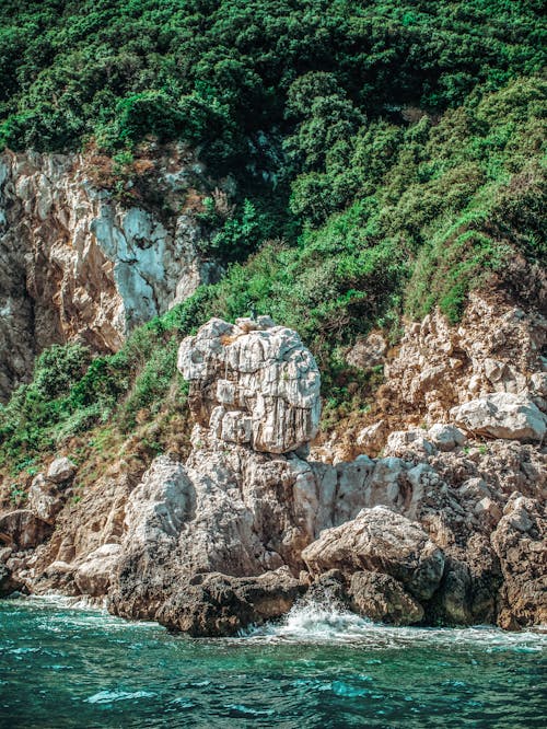 Fotobanka s bezplatnými fotkami na tému breh, pobrežie, príroda