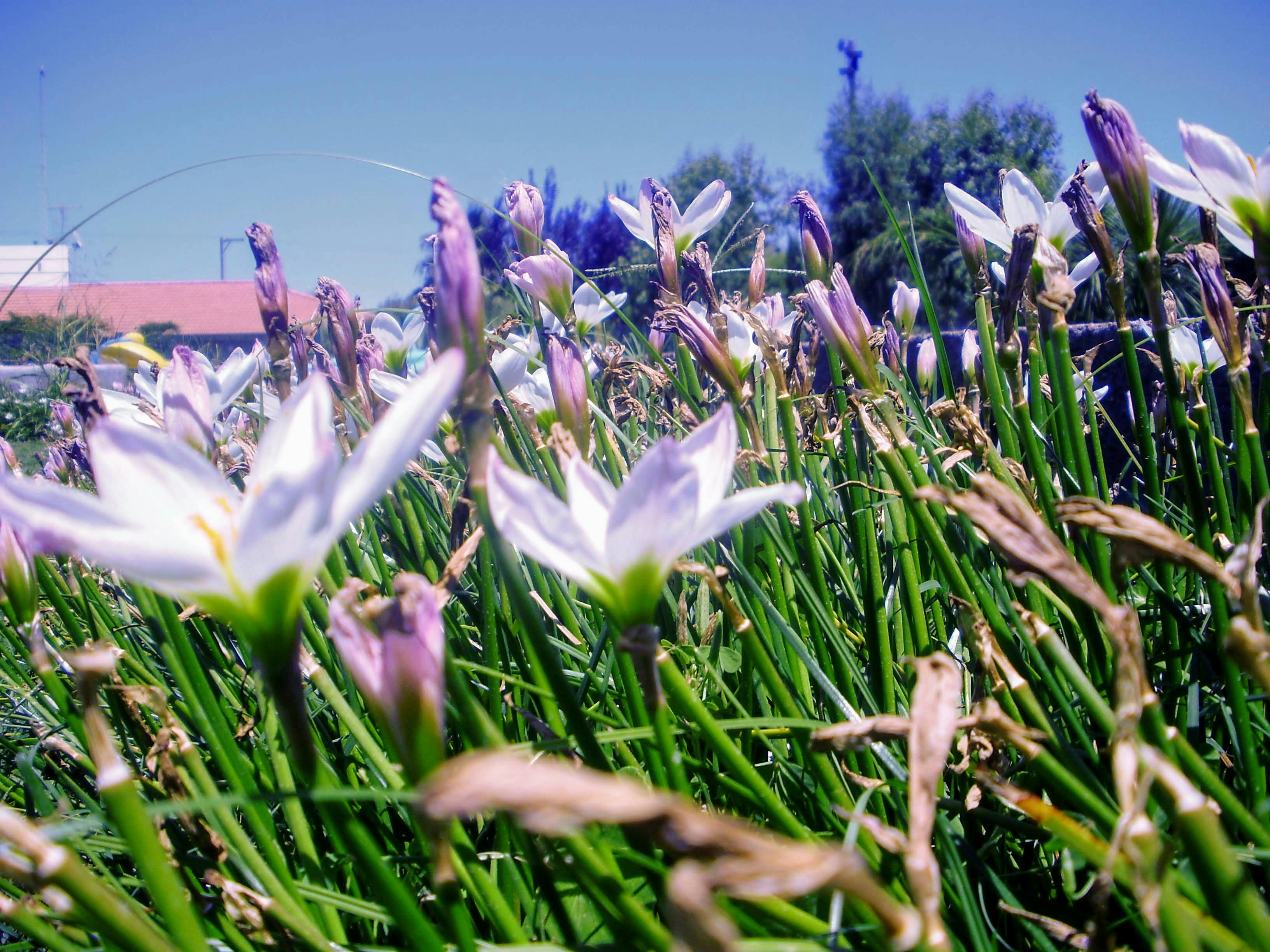 Värdering av dödsbo i Mölndal - Säker och transparent process