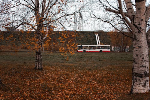 Základová fotografie zdarma na téma autobus, cesta