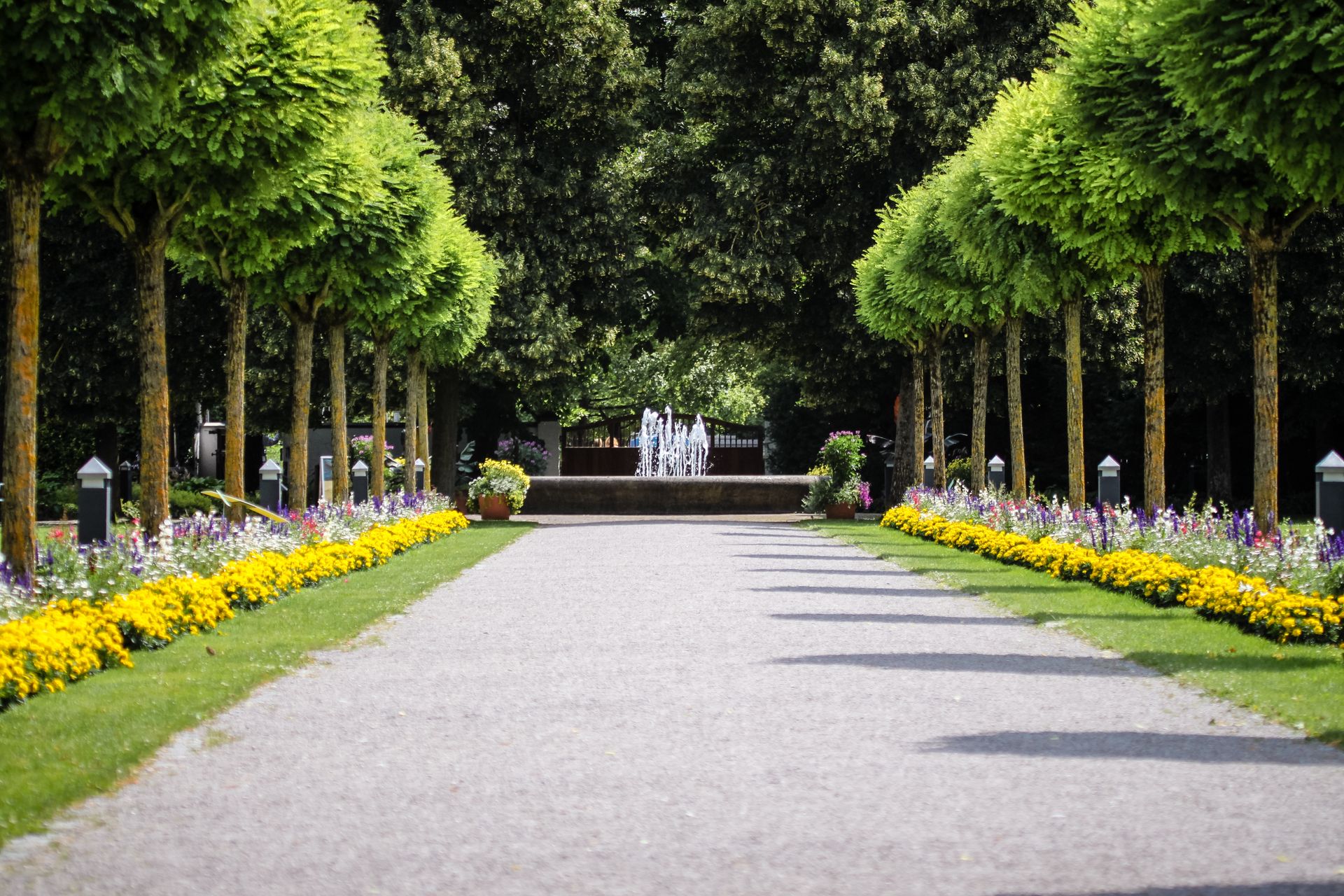 Serene garden scene featuring a pathway lined with trees and a water fountain in Augsburg, Germany.