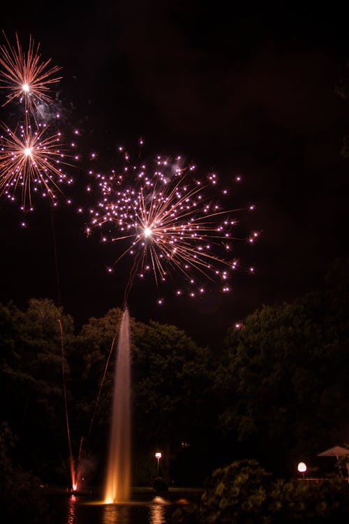 Free stock photo of firework, night