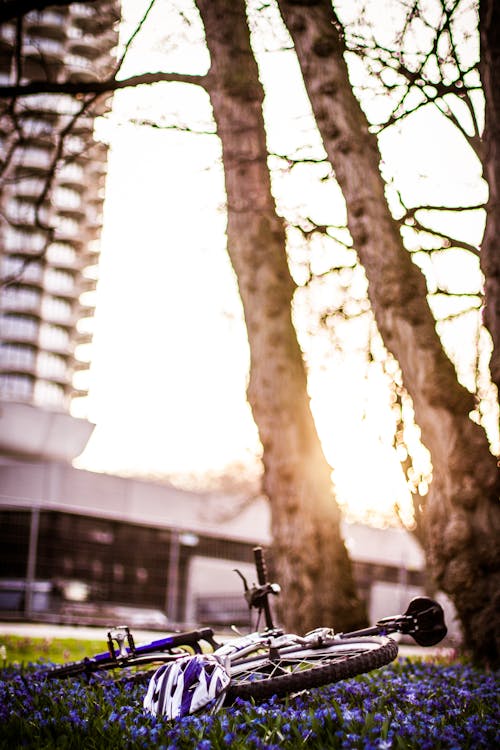 Free stock photo of against the light, bike, helmet