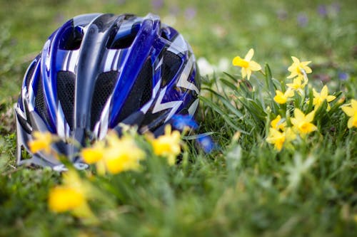 Free stock photo of clove, helmet, spring Stock Photo
