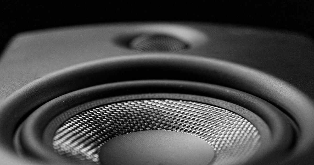 A detailed black-and-white close-up image of a speaker, highlighting its intricate design.