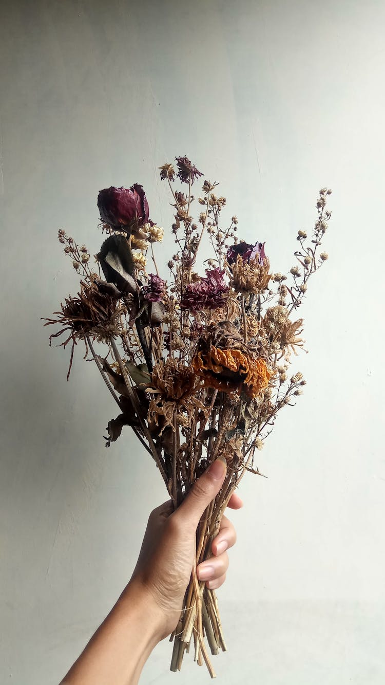 Person Holding Bouquet Of Dry Flowers