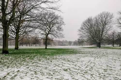 Free A serene winter landscape in Hyde Park, London, with snow-dusted grass and bare trees. Stock Photo