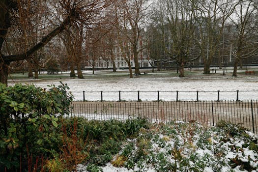 Serene snowy park landscape in London featuring trees, fence, and winter atmosphere.