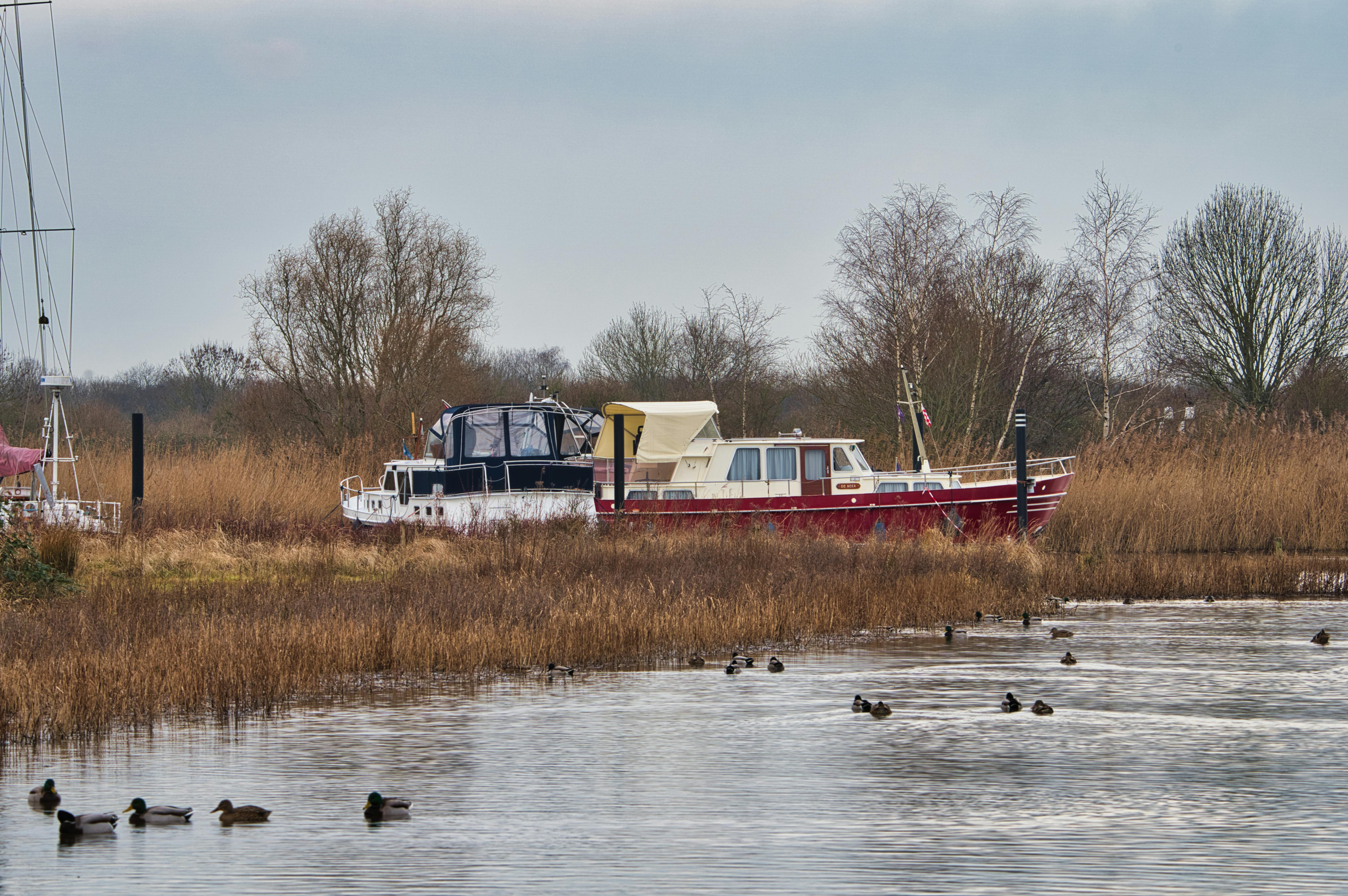 Peel-and-stick arch-pattern wallpaper used as a renter-friendly bedroom accent wall behind a bed.