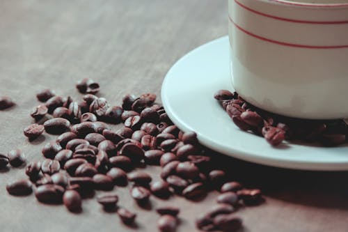 Brown Coffee Beans on Wooden Surface Near Cup and Saucer