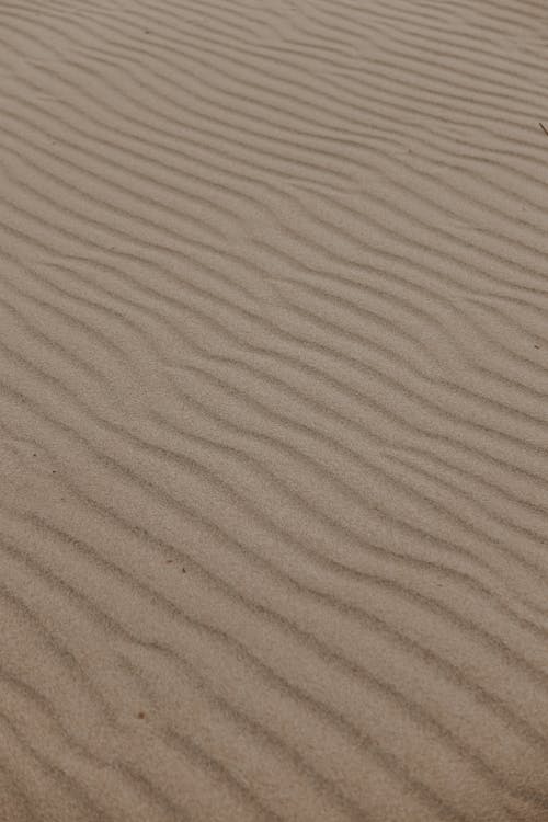 Kostenloses Stock Foto zu düne, muster, sand