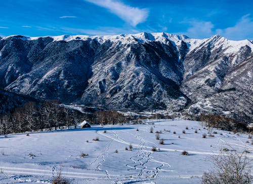 Immagine gratuita di alberi spogli, bellissimo, cabina